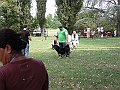 img 139